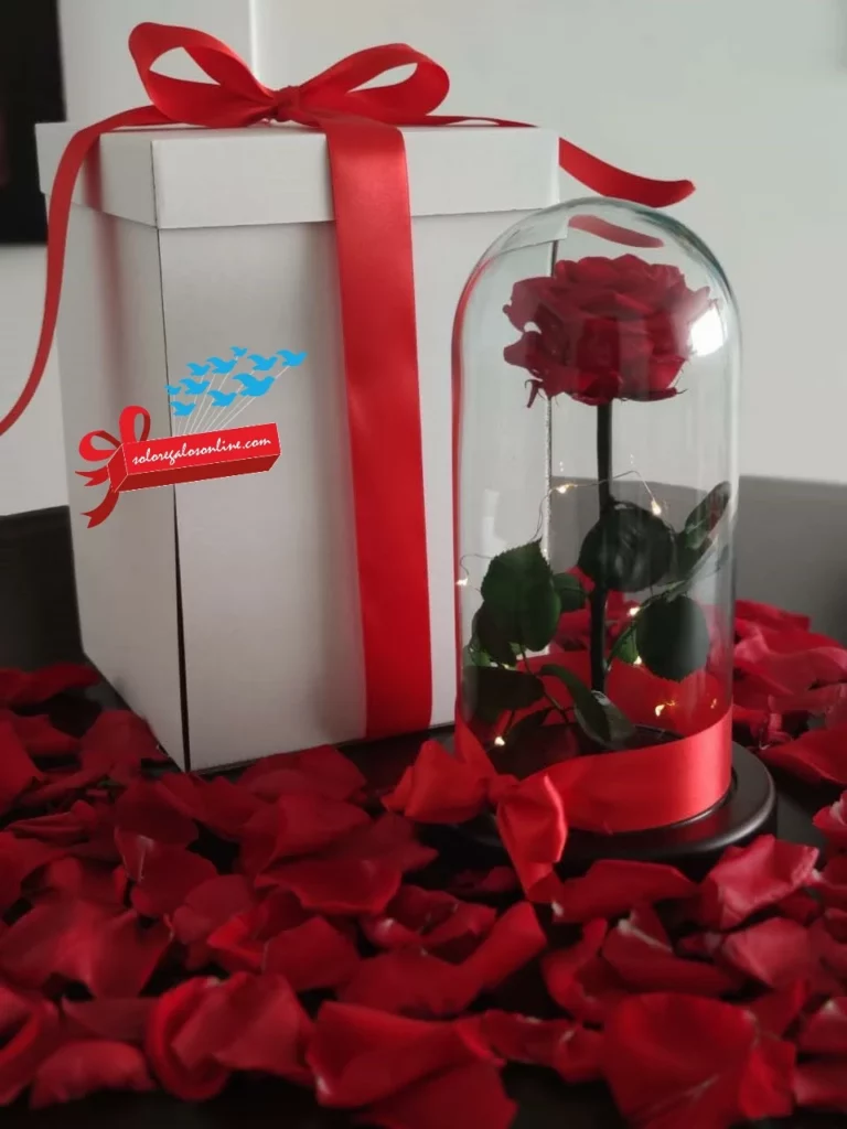 Rosa preservada para regalar, Regalo a domicilio en Bogotá, Regalos con flores, regalo para el día de la mujer